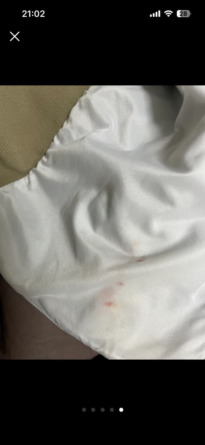 아크테릭스 아톰 후디 여성 xl 상품이미지5