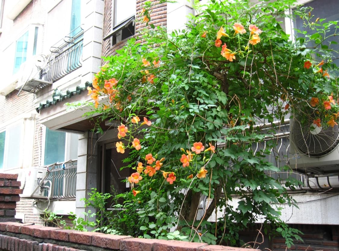 캐논 익서스 Canon IXUS 870 IS 실버 상품이미지3