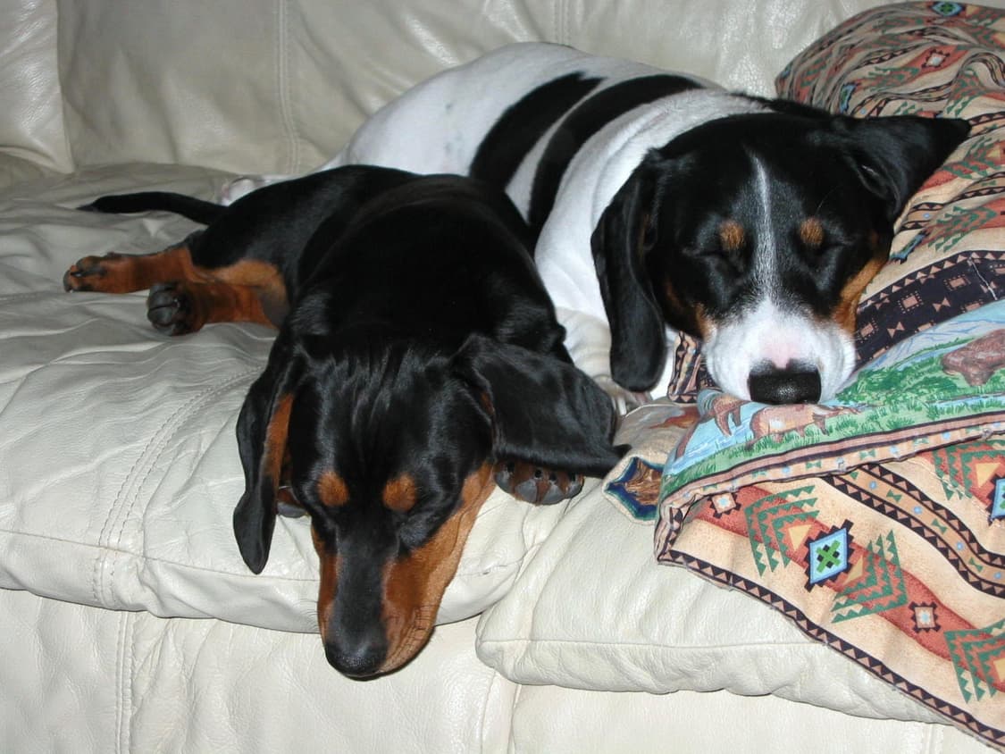 Canon PowerShot S30 ㅣ 캐논 파워샷 s30 빈티지 디카 상품이미지6