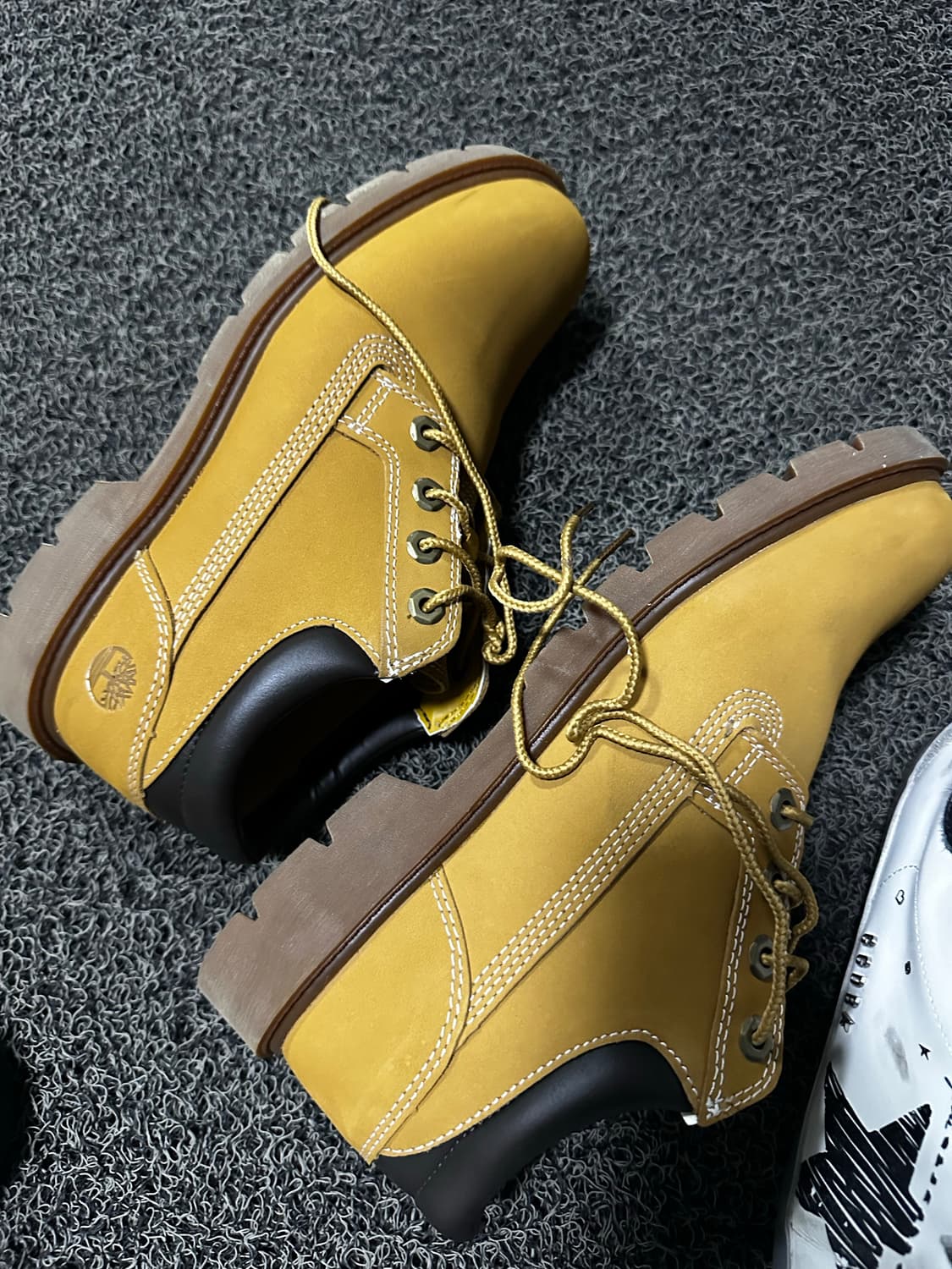 팀버랜드 클래식 부츠 위트브라운 상품이미지4