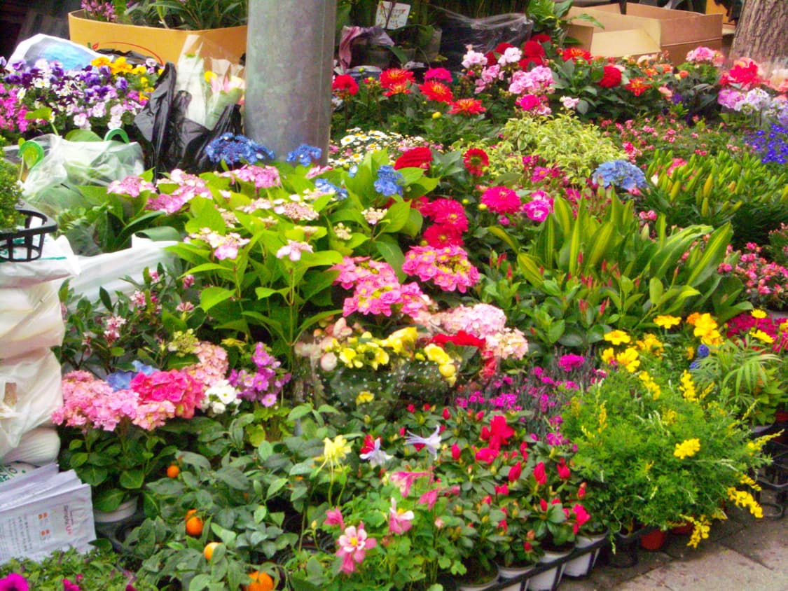 코닥 이지쉐어 v1003 빈티지디카 🔆작례 상품이미지10