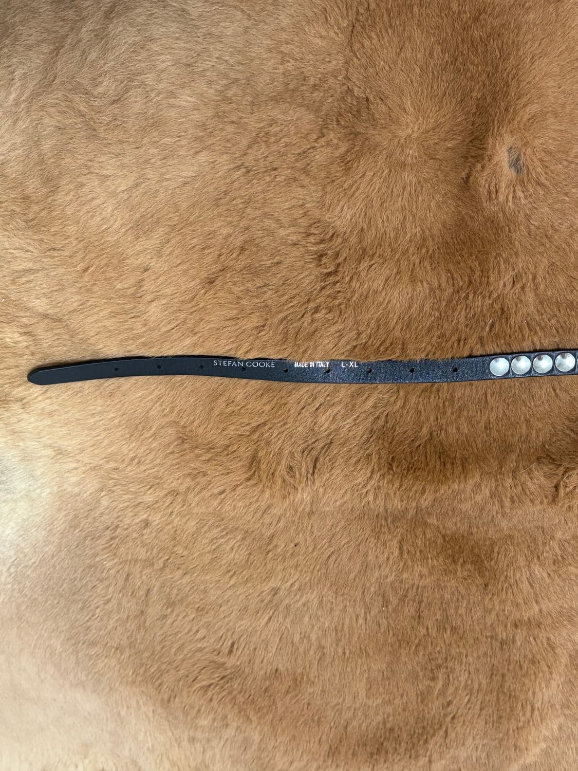 Stefan cooke Studded Belt 스테판 쿡 벨트 상품이미지2