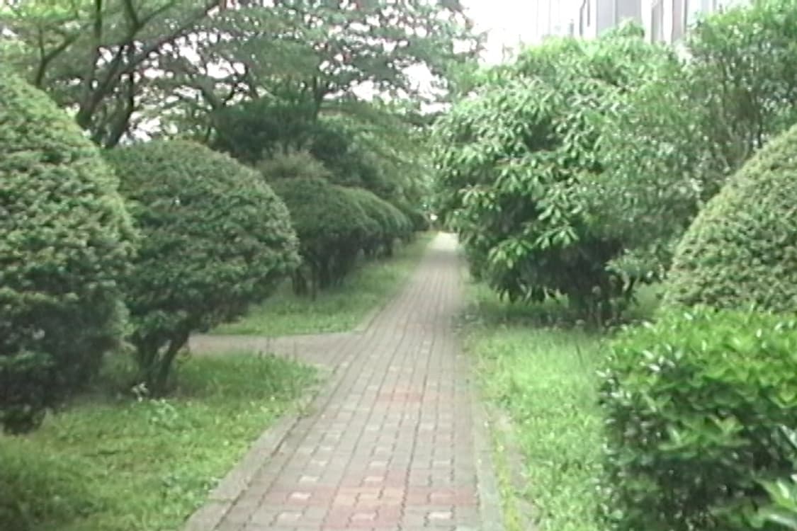 뉴진스 디토 캠코더) 파나소닉 Panasonic PV-DV910 상품이미지9