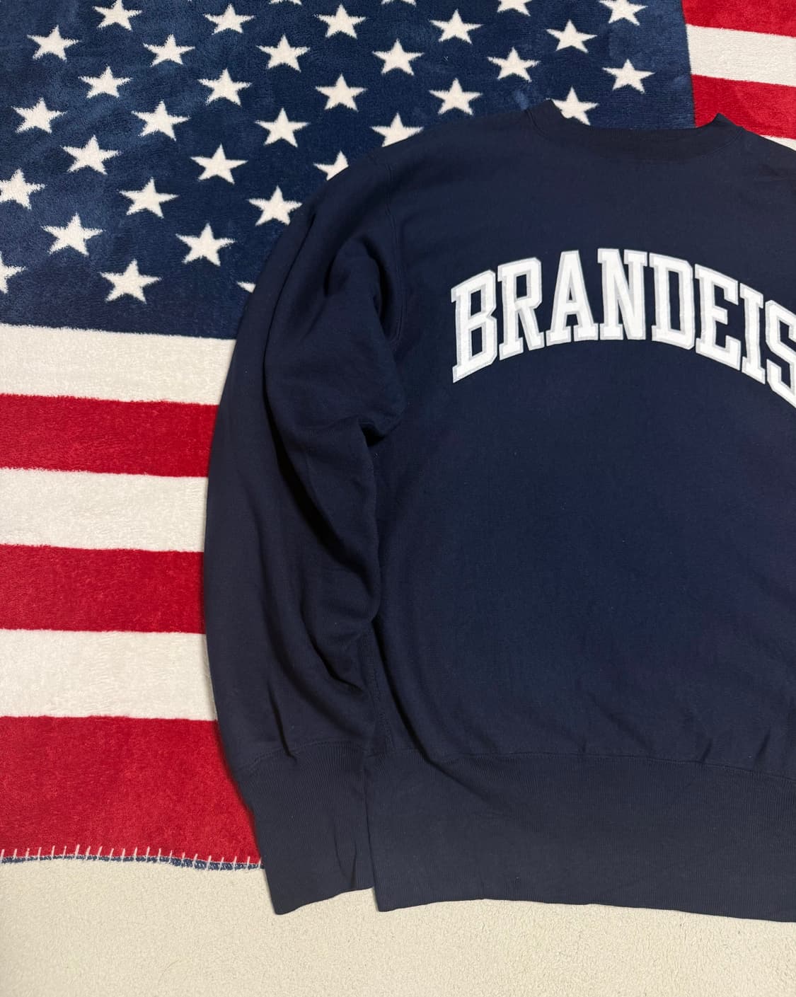 챔피온 USA 리버스위브 맨투맨  champion sweatshirt 상품이미지2