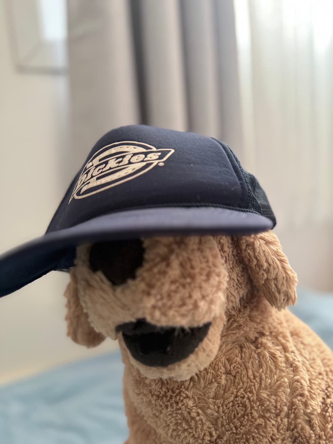 Unique dickies 디키즈 캡 상품이미지1