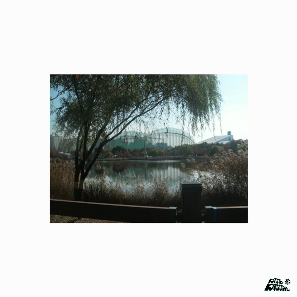 GE A955Z 디카 상품이미지8
