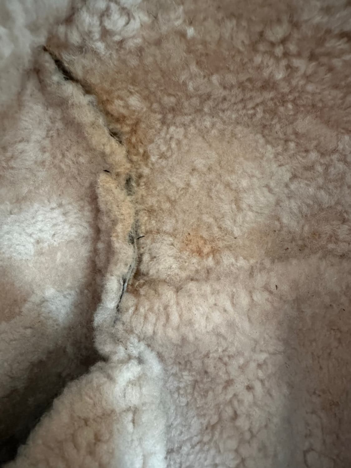 아크네 무스탕 32 상품이미지8