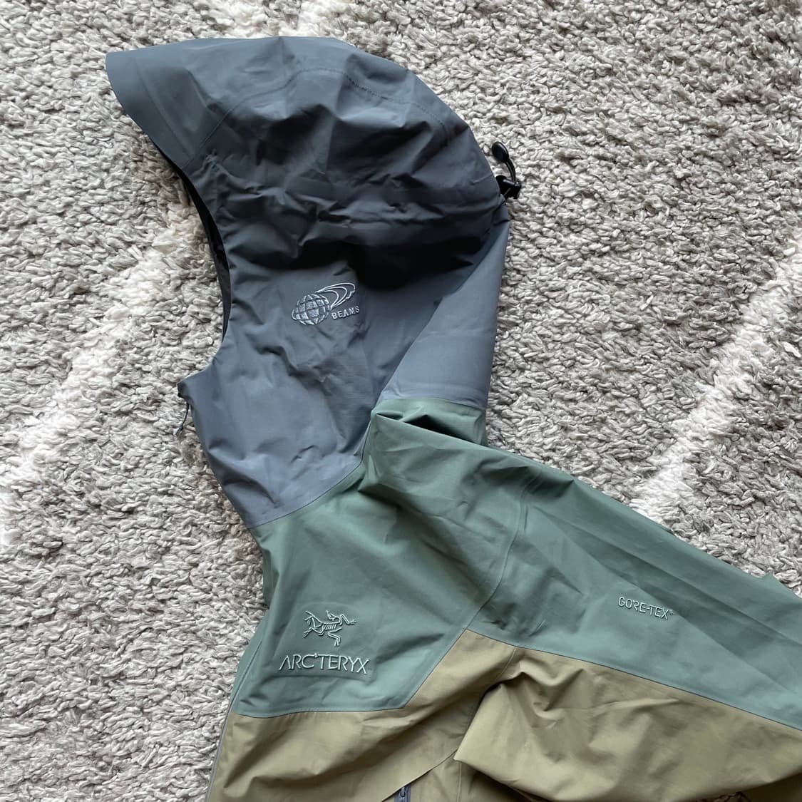 17fw 아크테릭스 빔즈 베타 SL 상품이미지3