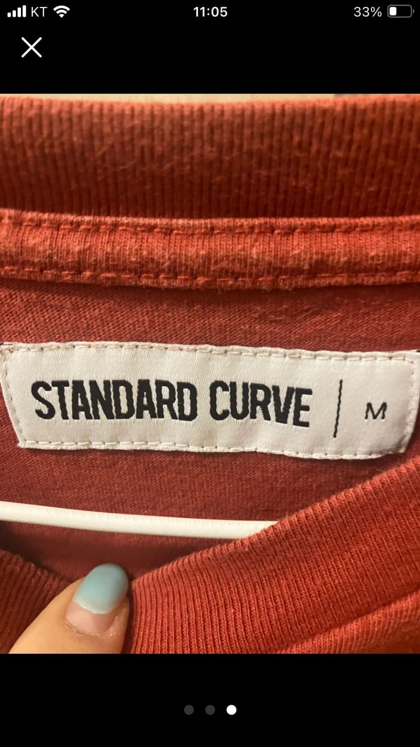 STANDARD CURVE 티셔츠 M 상품이미지3