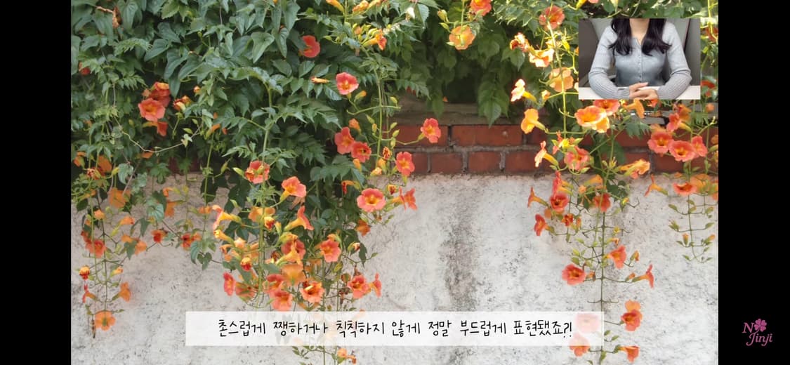 작례,민트급) 카시오 엑슬림 z400 핑크 디지털 카메라 디카 상품이미지3