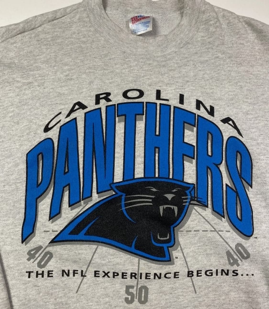 100~105) 90's 헤인즈 캐롤라이나 팬서스 맨투맨 상품이미지8