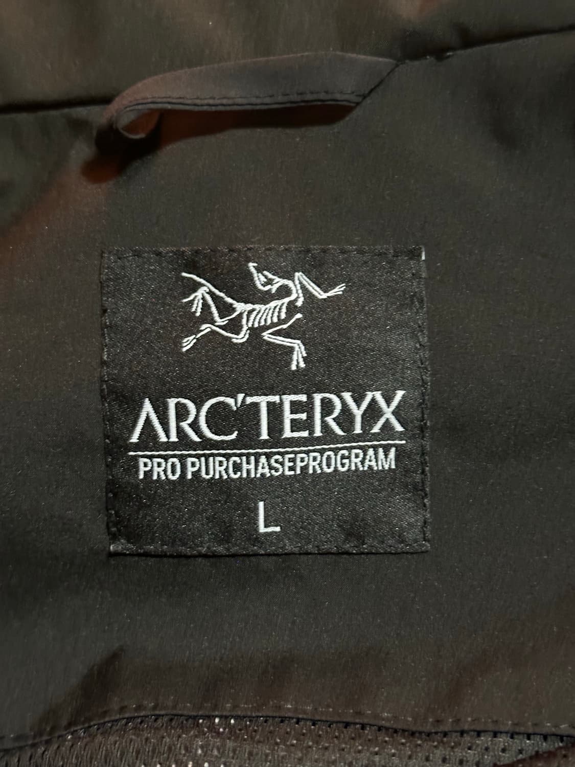 일반인 구매불가 상품)아크테릭스 베타 자켓PRO PURCHASEPROGR 상품이미지8