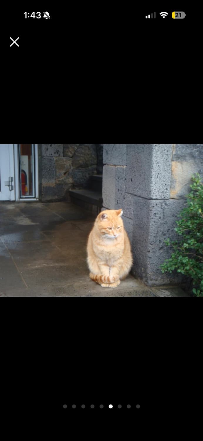 *작례* 소니 사이버샷 dsc t70 풀박스 상품이미지8