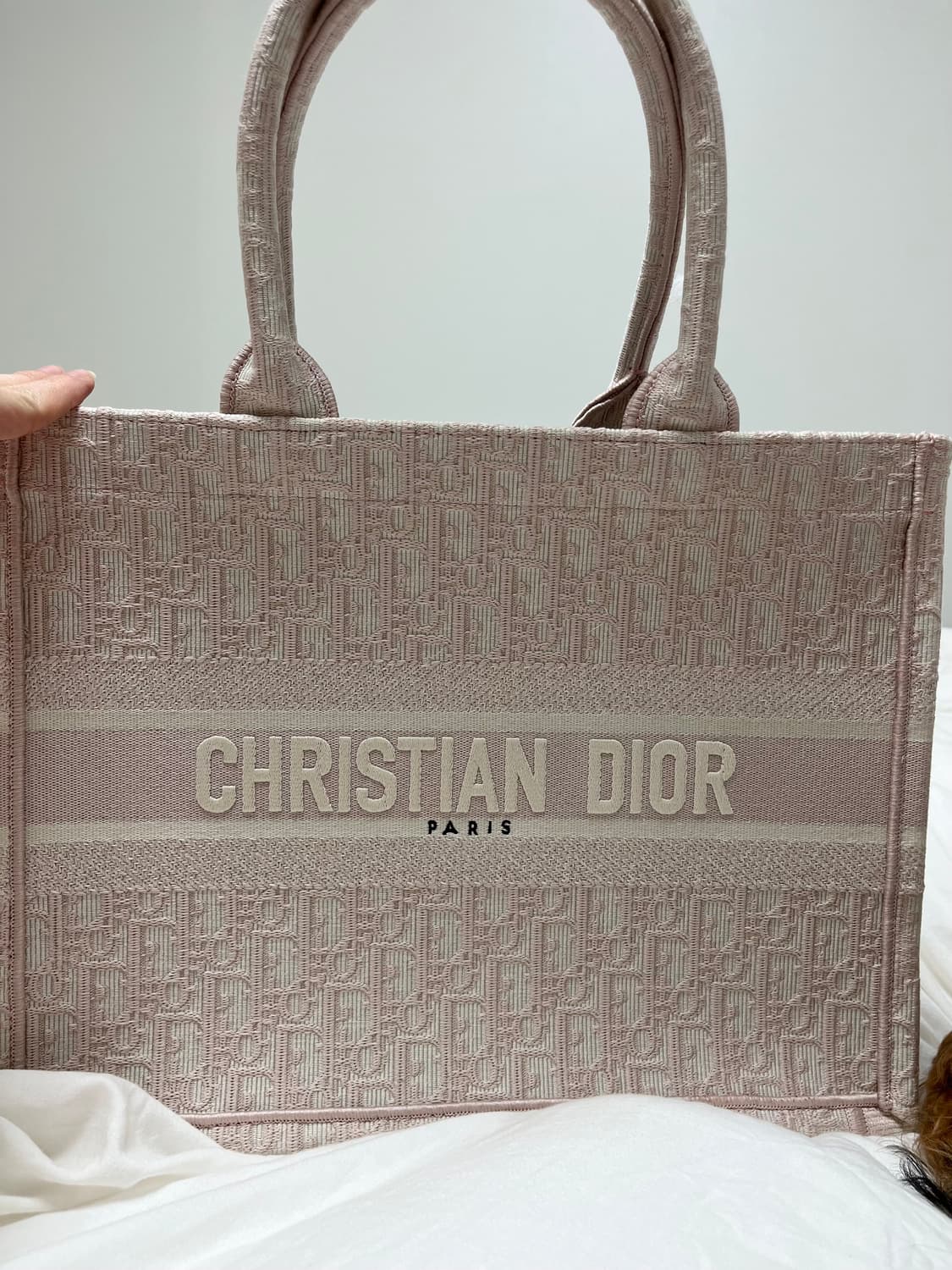 디올 북토트백 상품이미지1