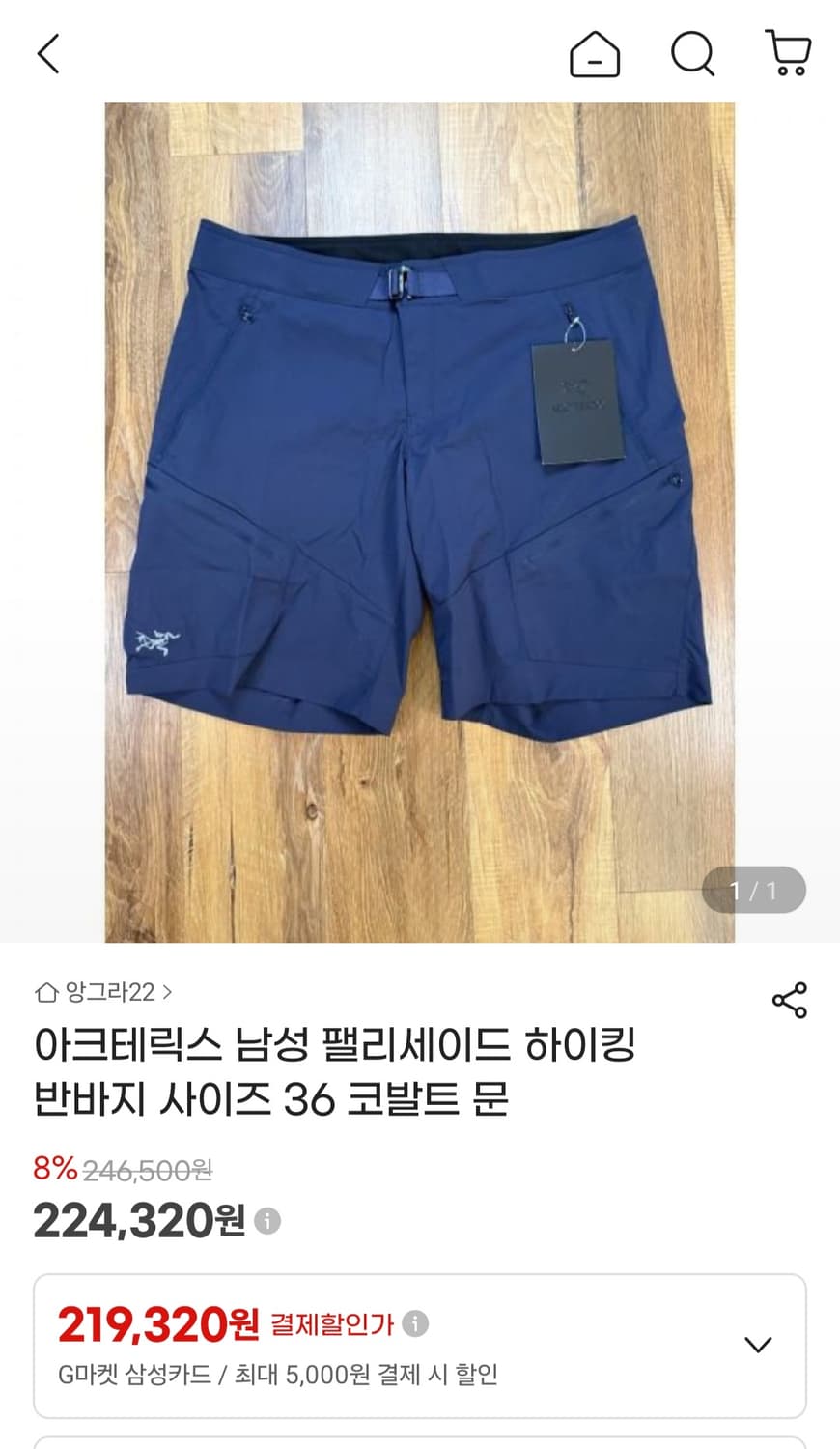 아크테릭스 PALISADE 쇼츠 Void 34 상품이미지9
