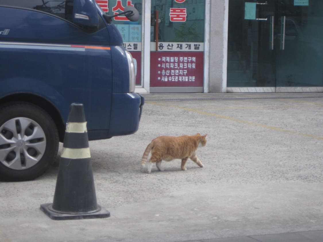 ixy 110(ixus 95) 판매합니다! (작례 o) 상품이미지6