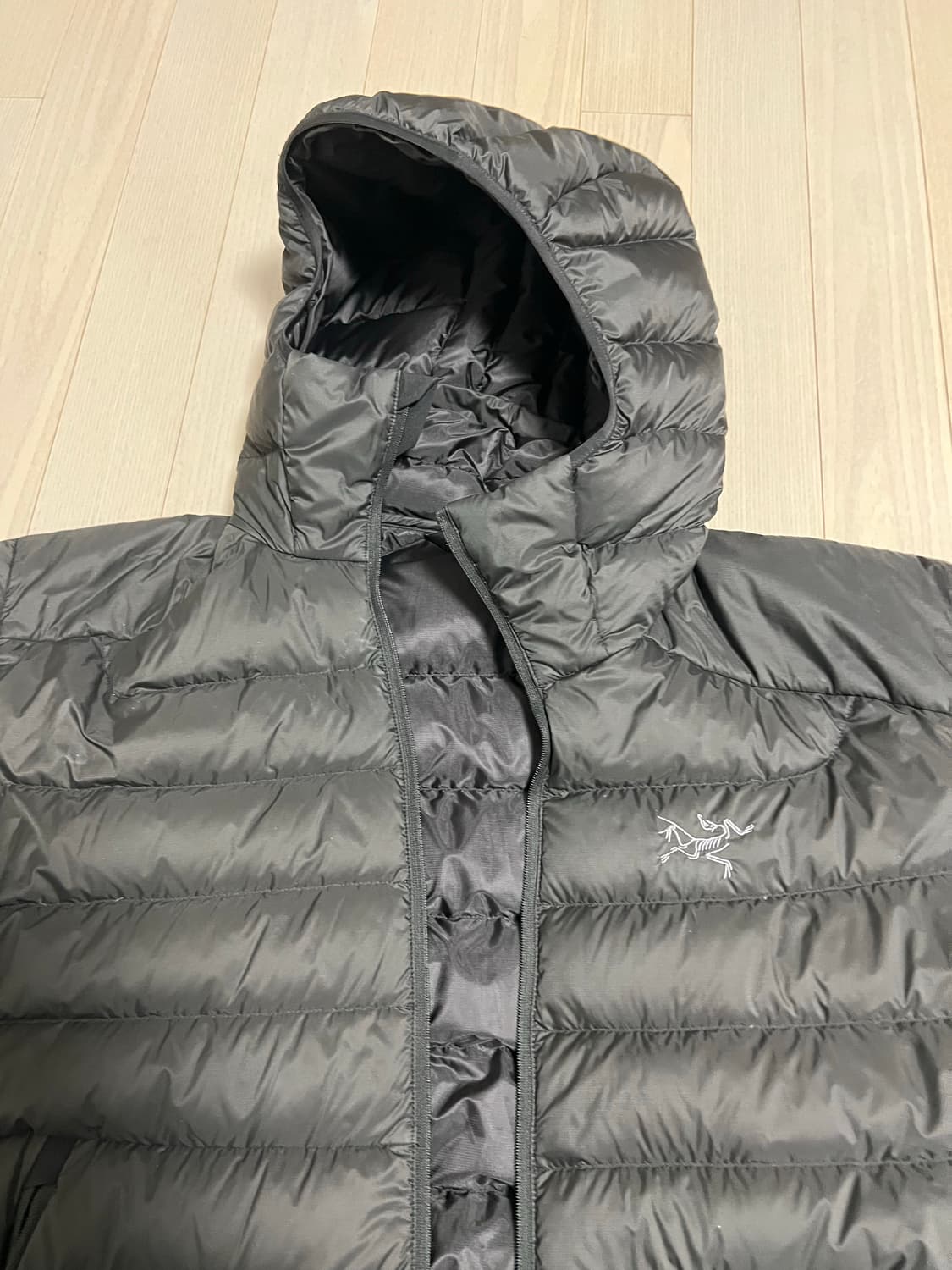 아크테릭스 세륨 후디 m black 상품이미지1