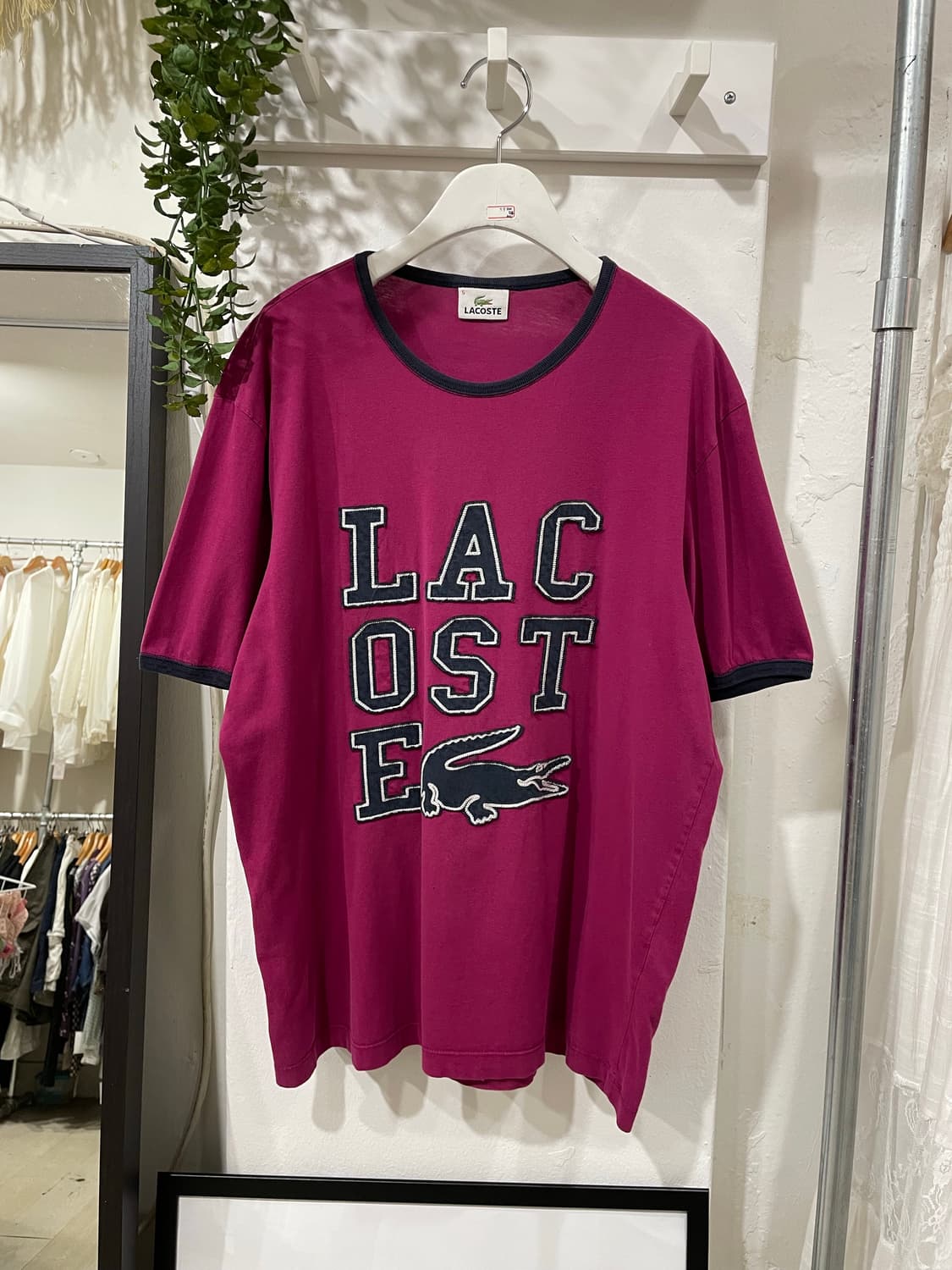 LACOSTE t-shirt 상품이미지10