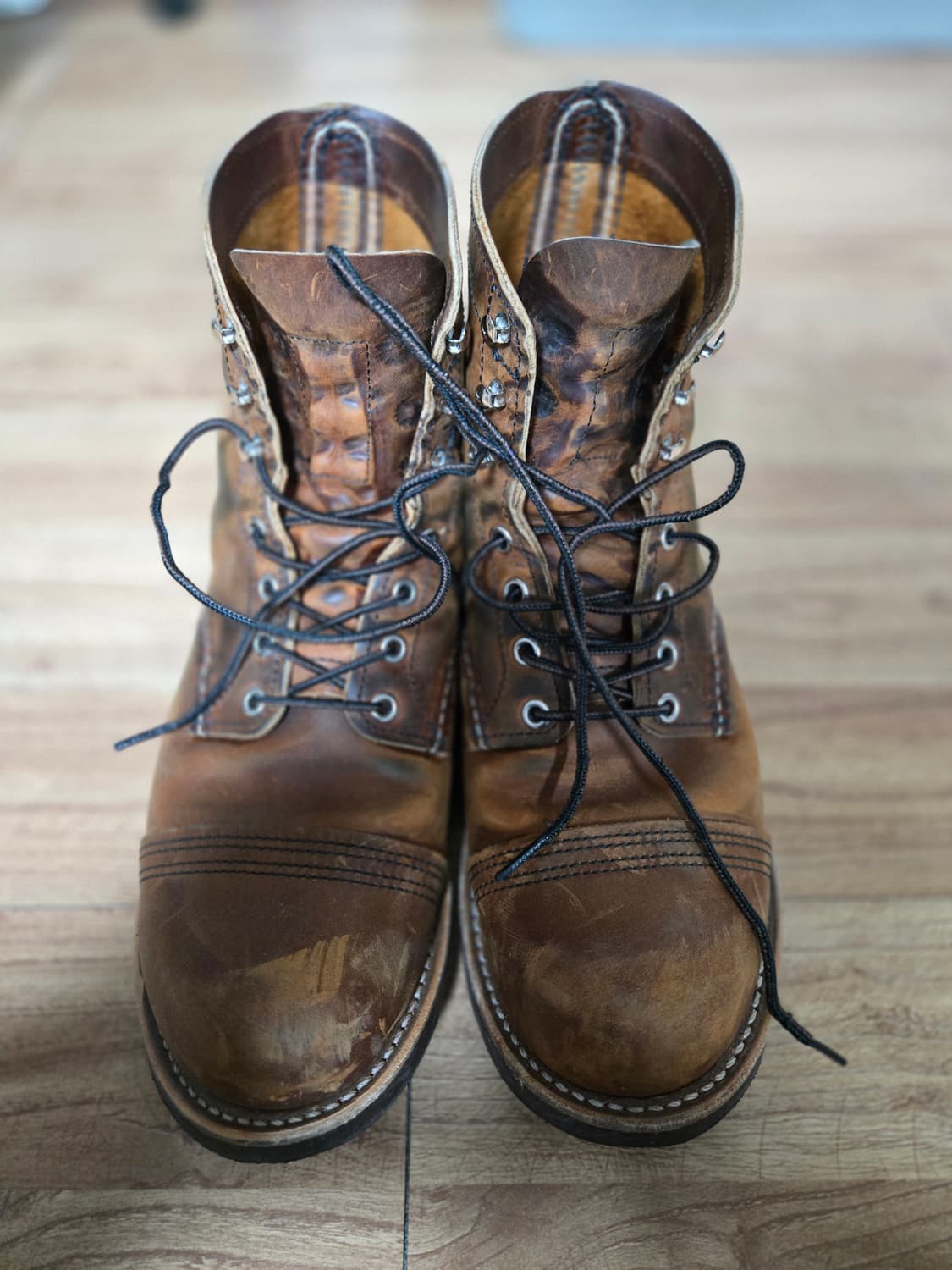 레드윙 아이언레인저 8085 상품이미지2