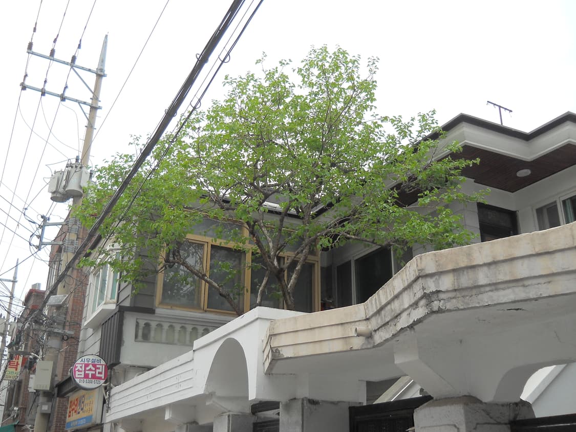 S급작례🅾️니콘 쿨픽스 L22 디카 디지털카메라 상품이미지9