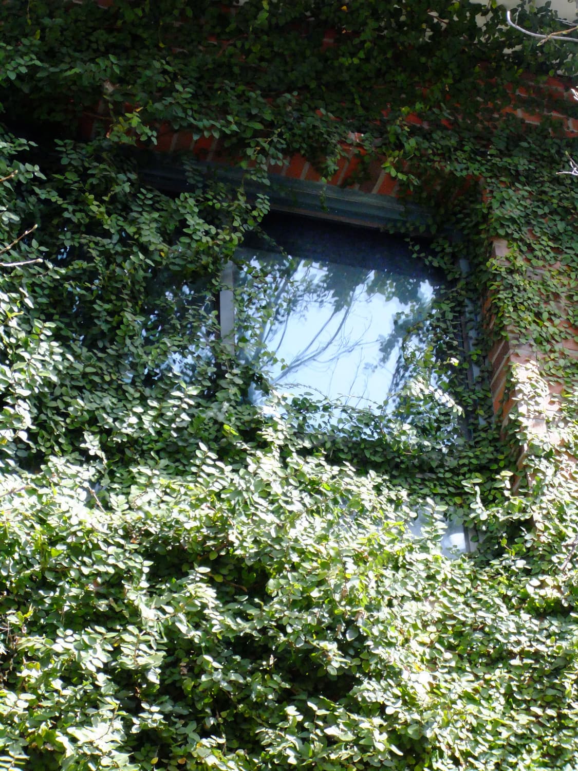 Fujifilm finepix f80exr 상품이미지9