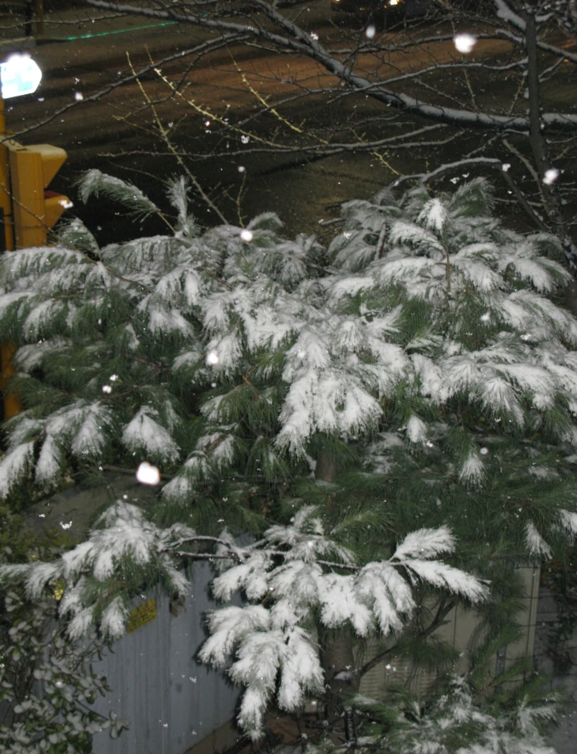 안유진디카📸)캐논 파워샷 G9 상품이미지9