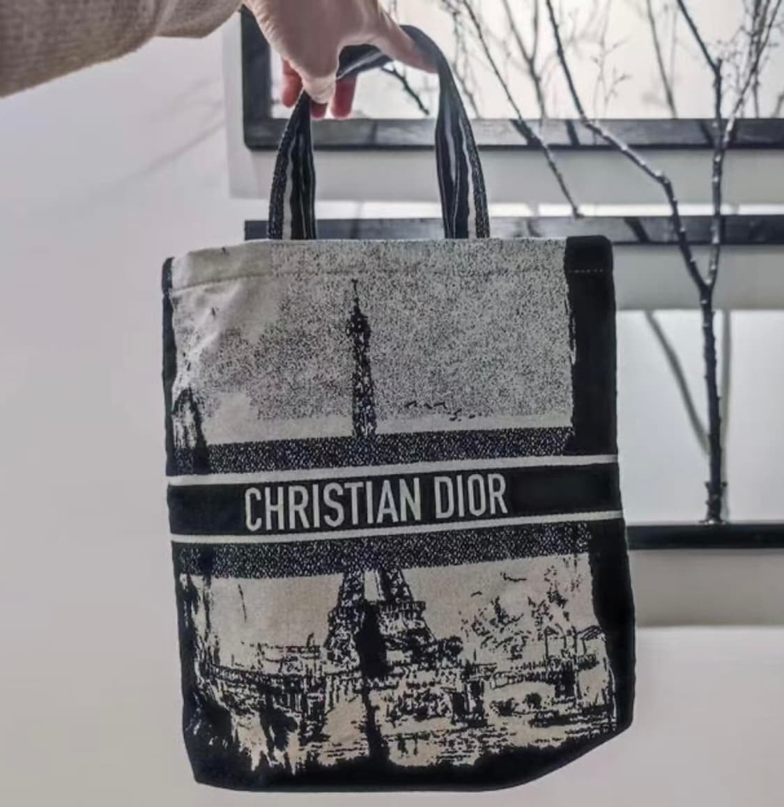 디올 에펠탑 캔버스 토트백  상품이미지2