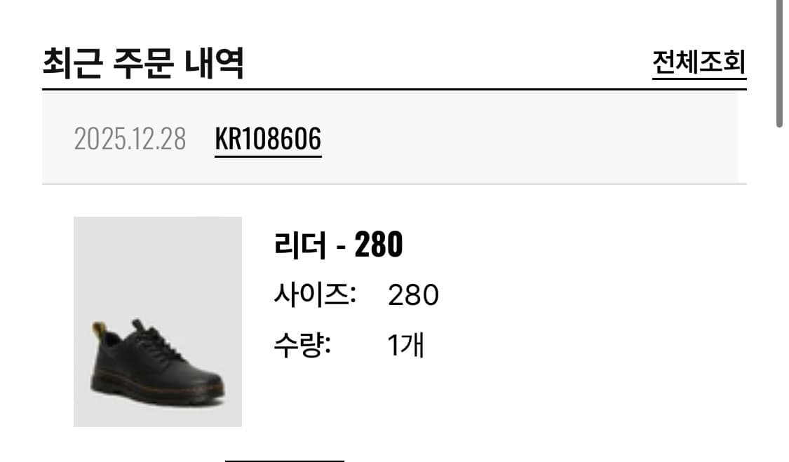 닥터마틴 리더 280 상품이미지1