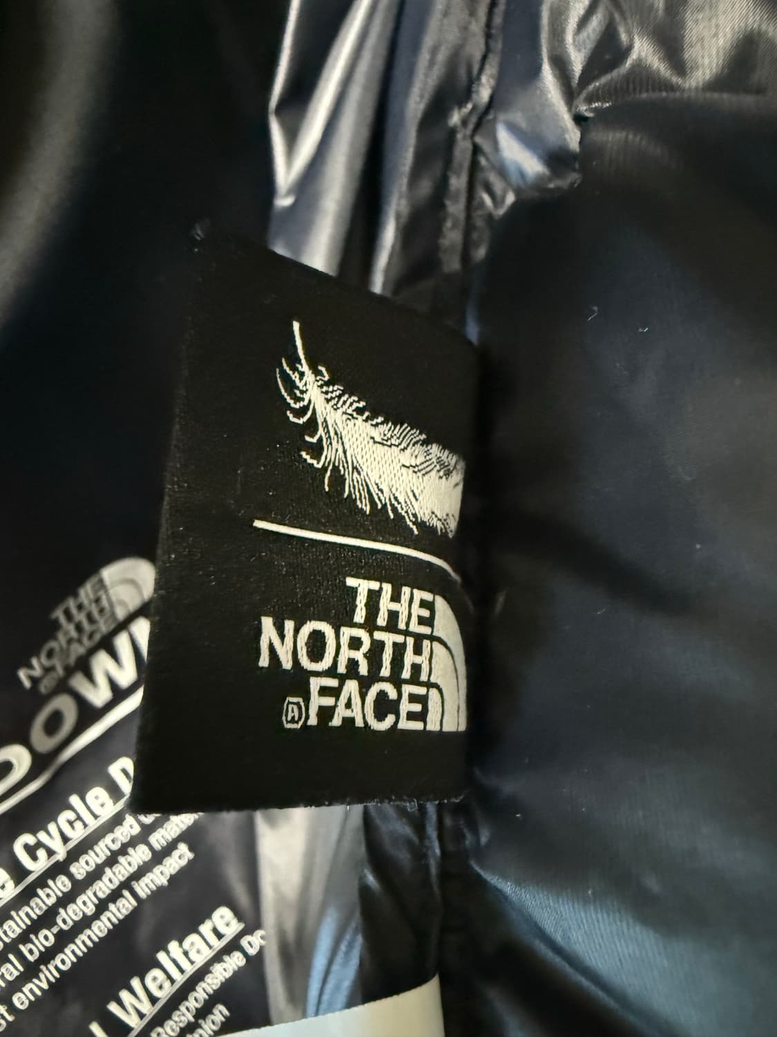 노스페이스 화이트라벨 눕시 다운 블랙 패딩 상품이미지7