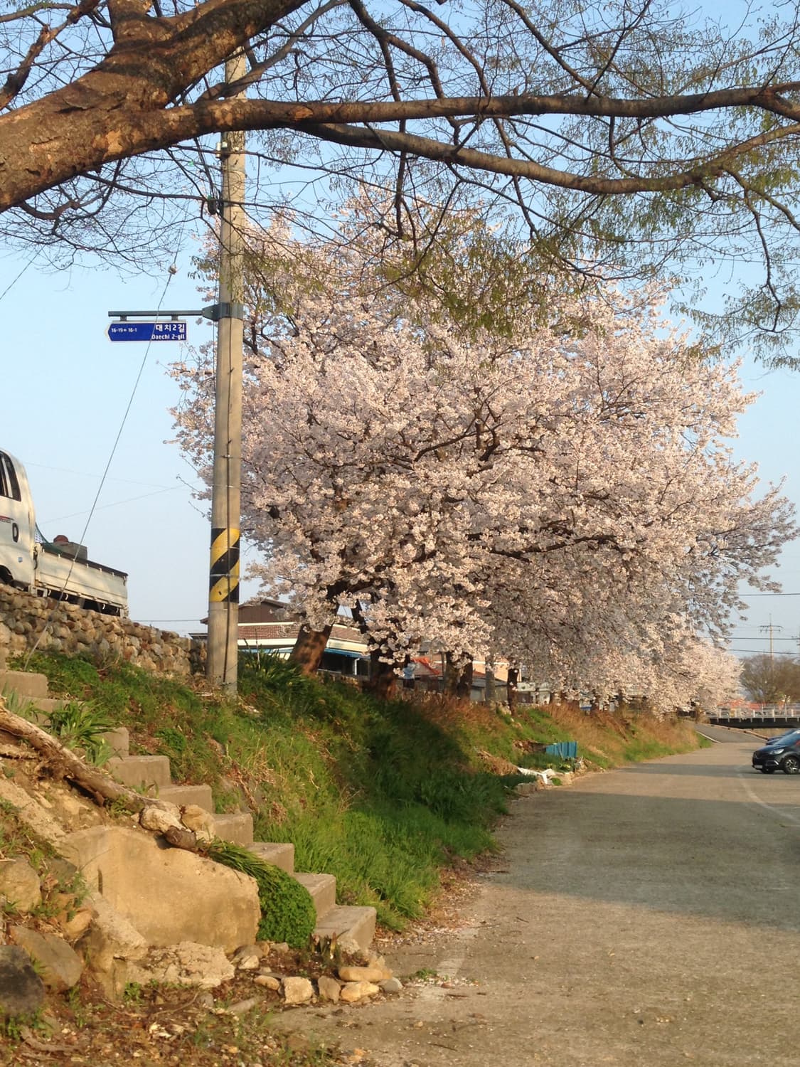 아이폰 5c 상품이미지4