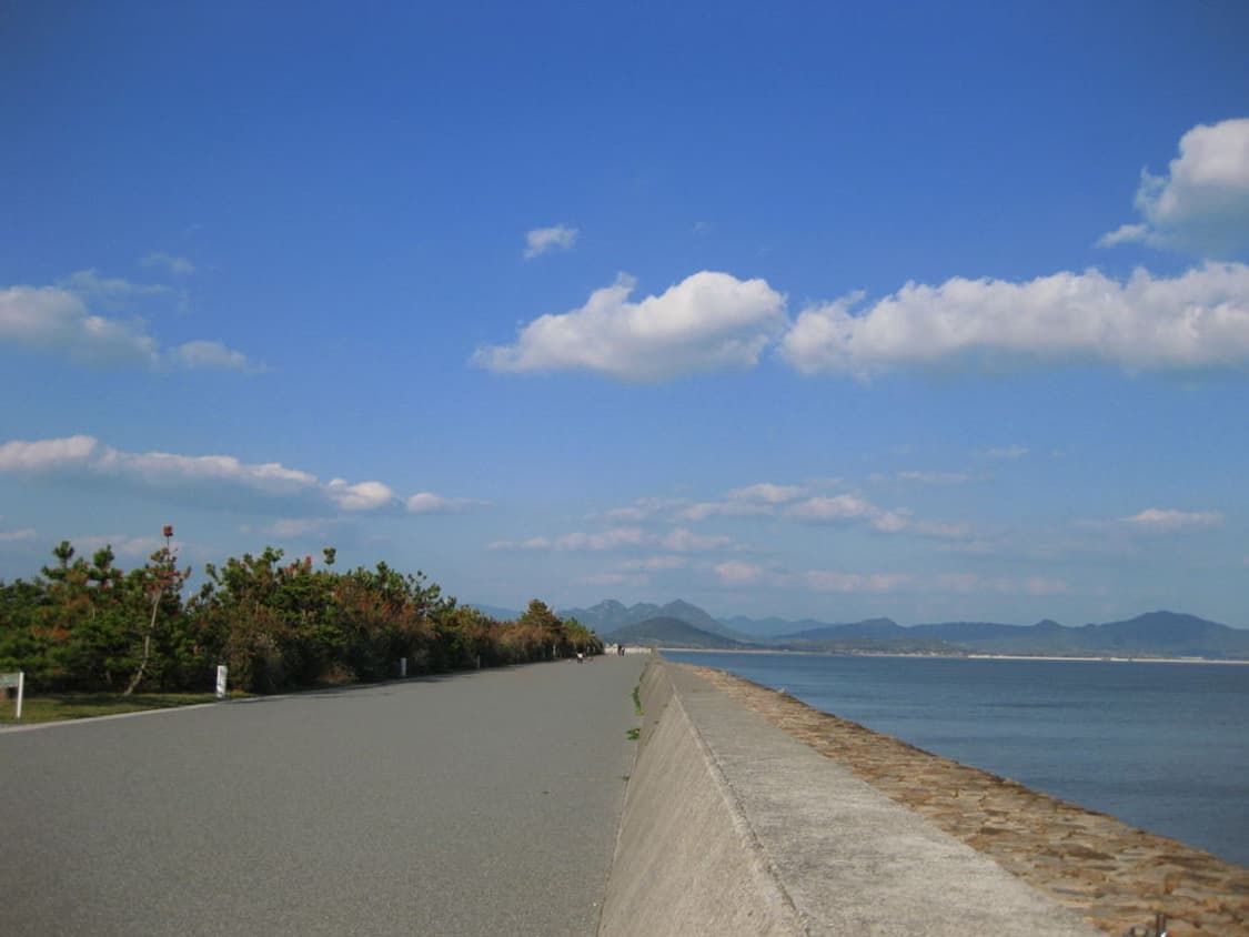 캐논 익서스 Canon IXUS 80 IS  상품이미지3