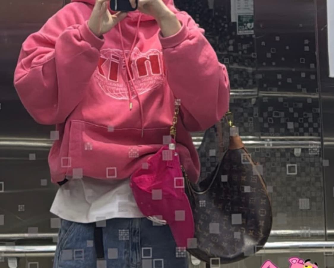 루이비통 루프 보호백 상품이미지3