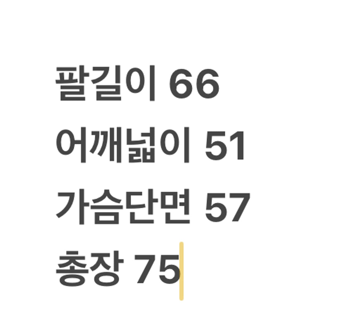 [ 정품/M,100 ] 나이키 ACG 고프코어 마운틴 바람막이 자켓 상품이미지9