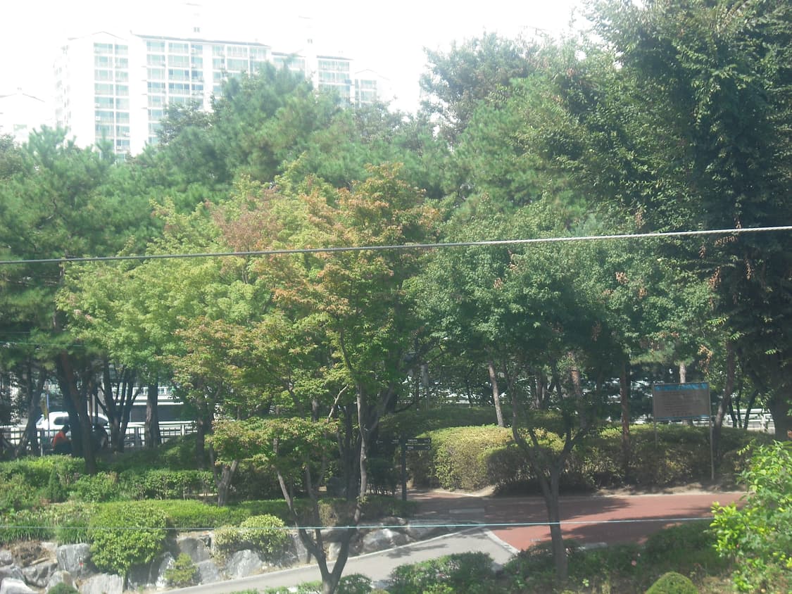 후지필름 파인픽스 J10 빈티지 디카 디지털카메라 상품이미지9