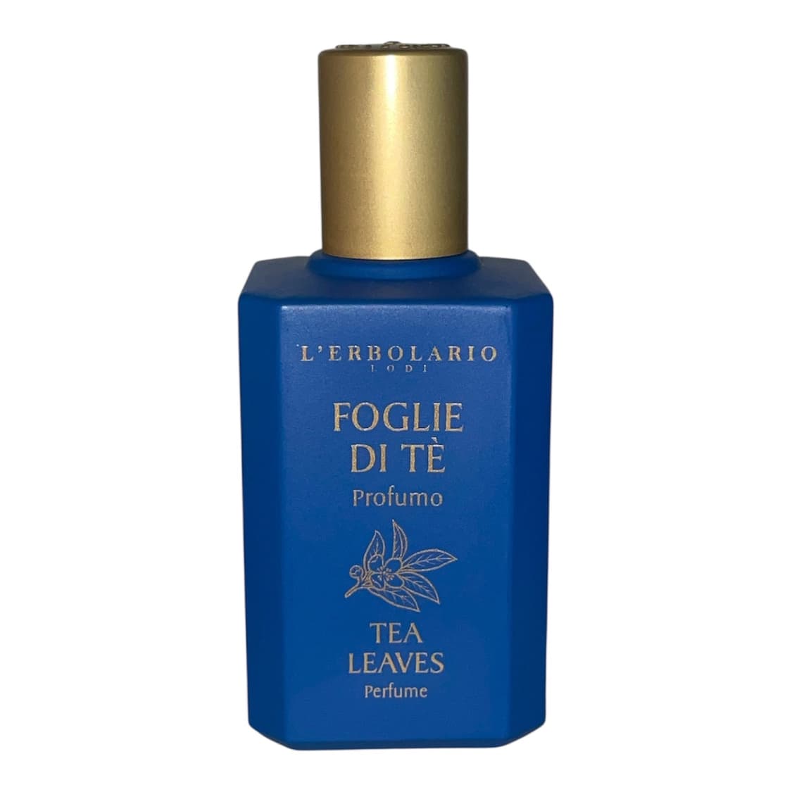 엘보라리오 우롱차잎 오드 퍼퓸 향수 상품이미지1