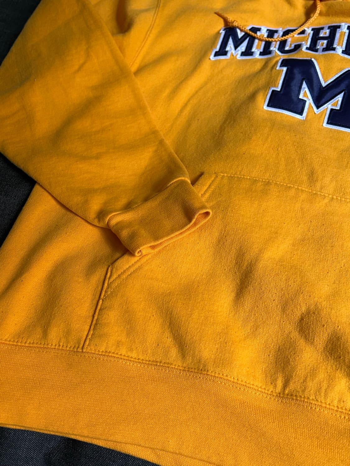 Champion Michigan Hoodie 상품이미지5