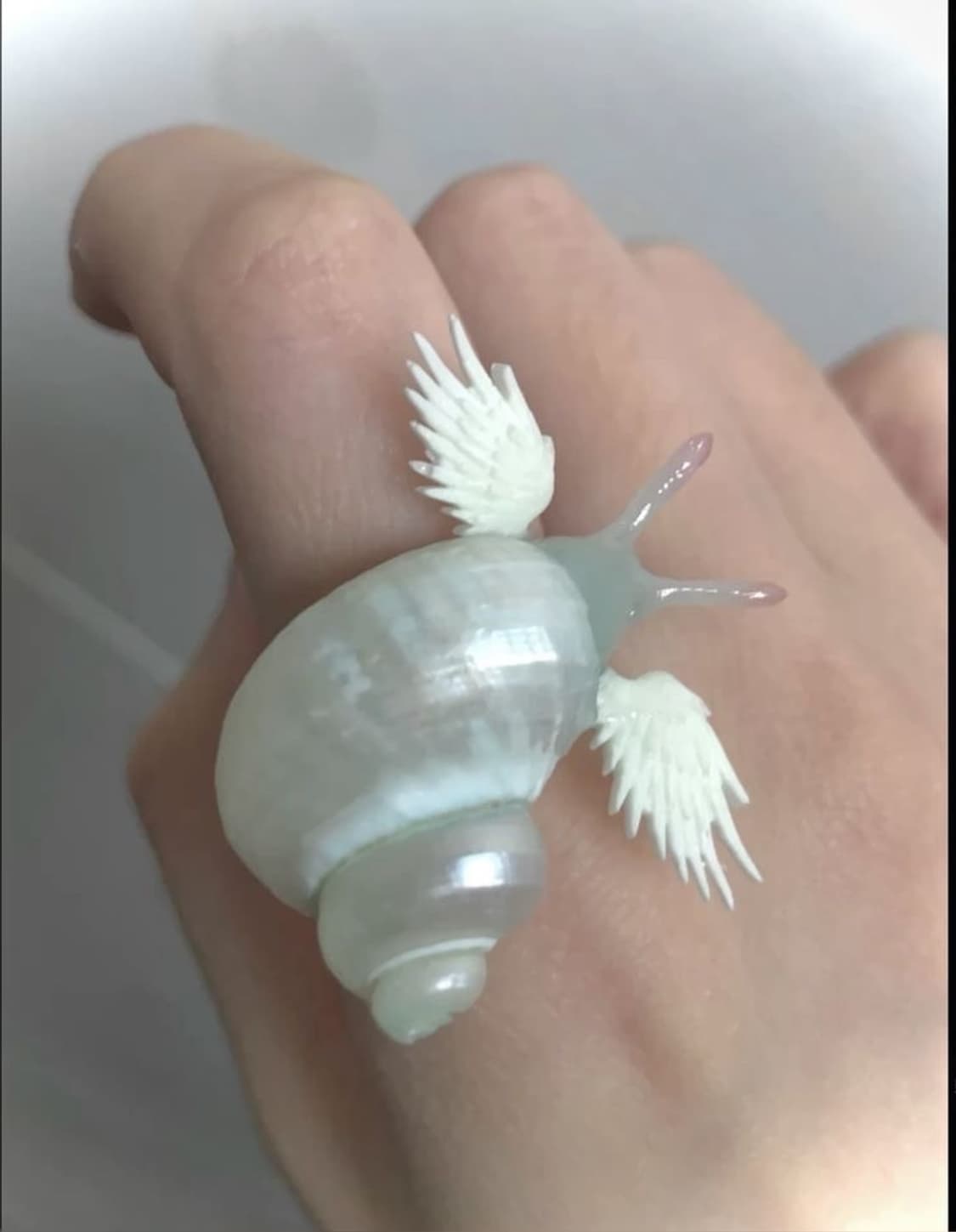 개인결제창 상품이미지1