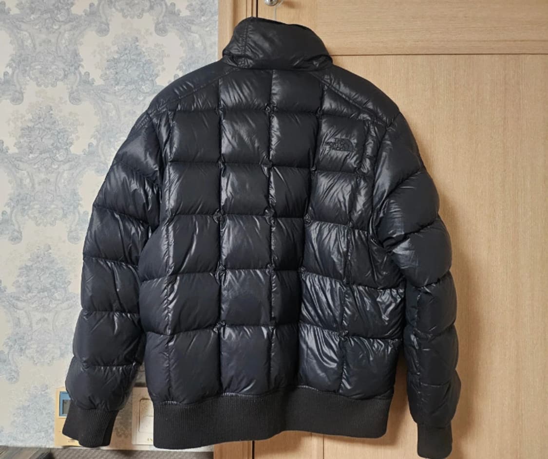 허율 노스페이스 해외판 패딩 구스다운 700 L사이즈 상품이미지3