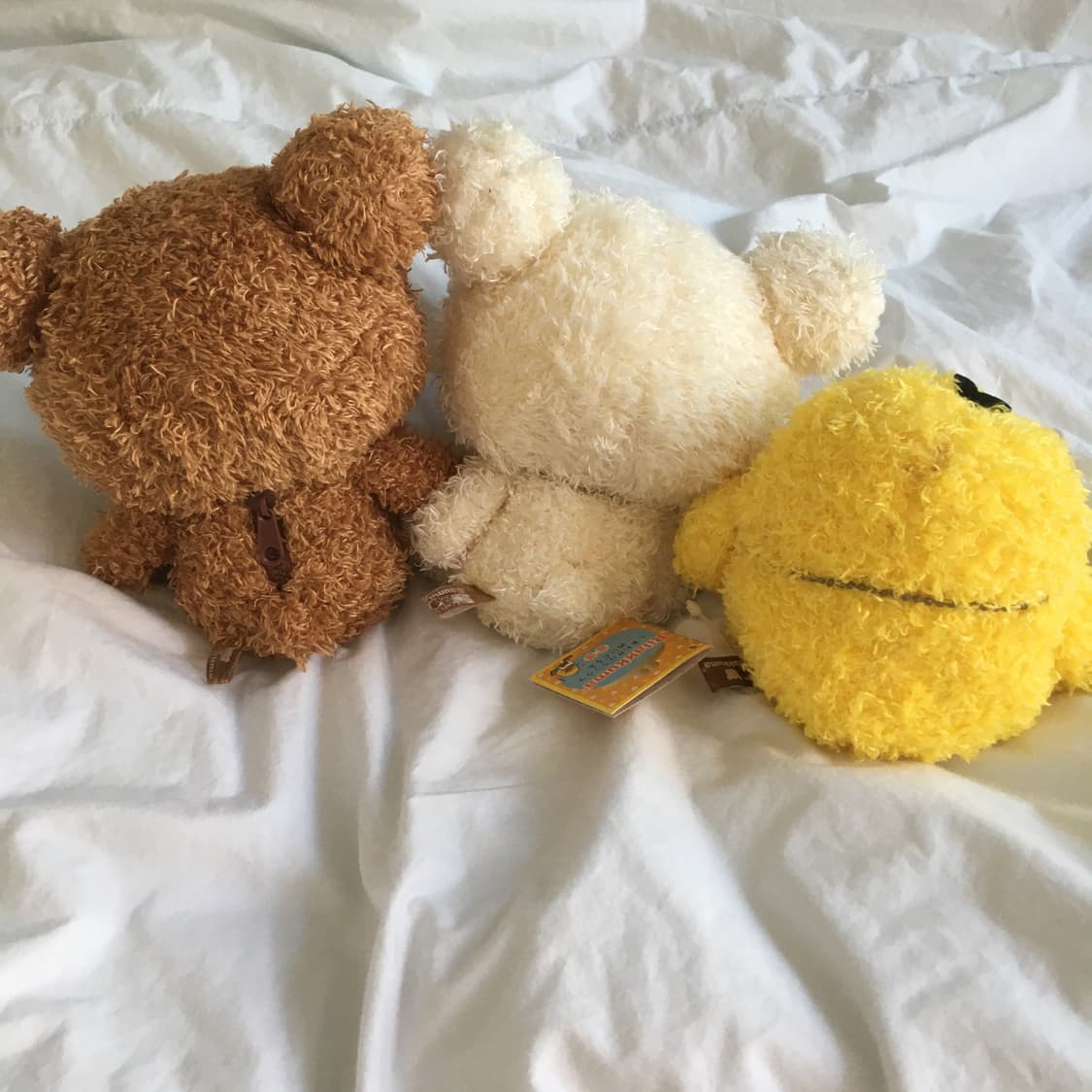 리락쿠마 코리락쿠마 키이 뽀글이 세트 상품이미지2