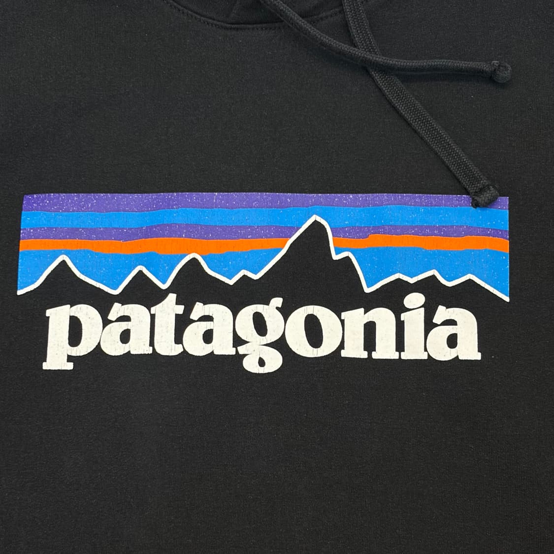 USA 빈티지 파타고니아 빅로고 후드티 상품이미지4