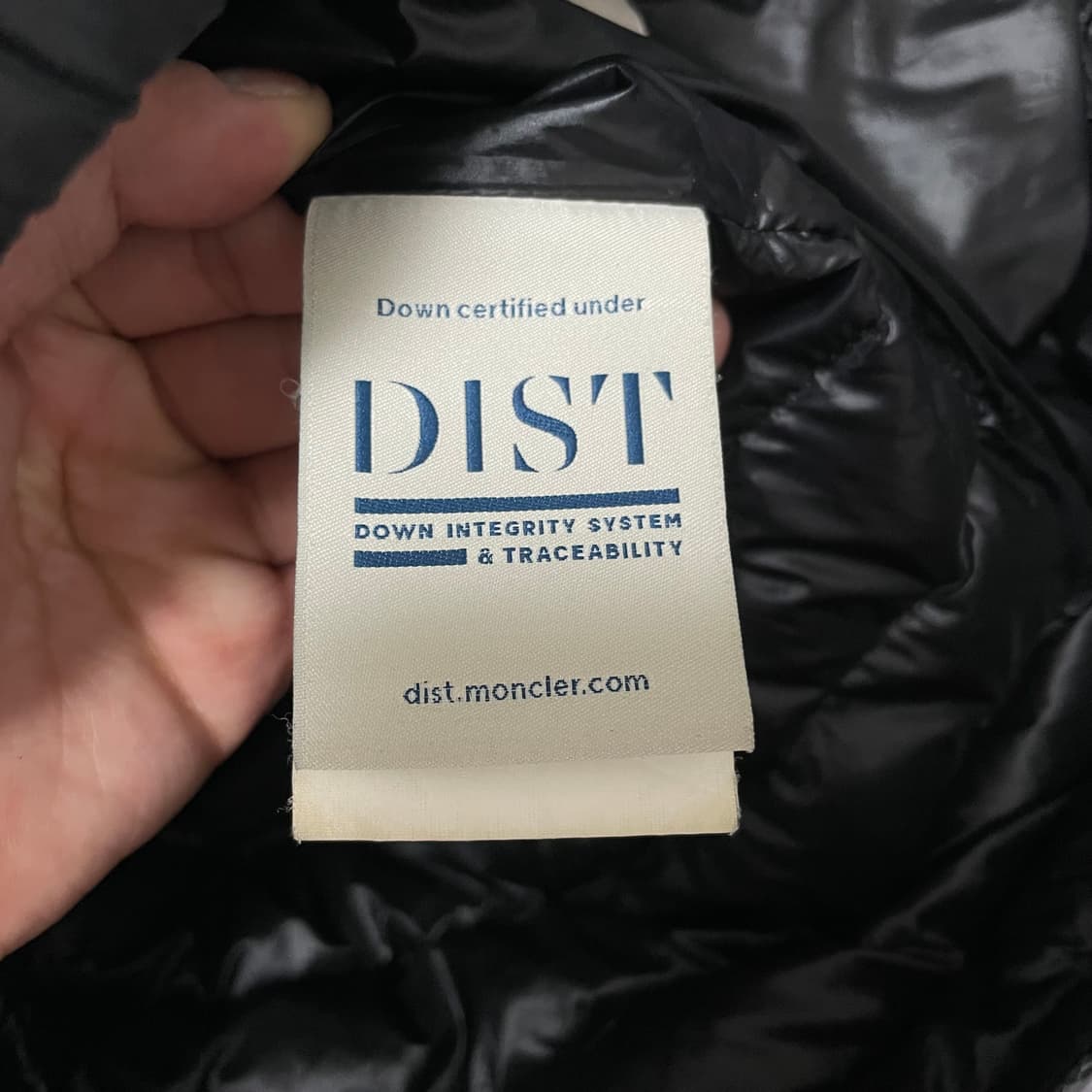 4사이즈 몽클레어 다니엘 경량패딩 (백화점판) 상품이미지6