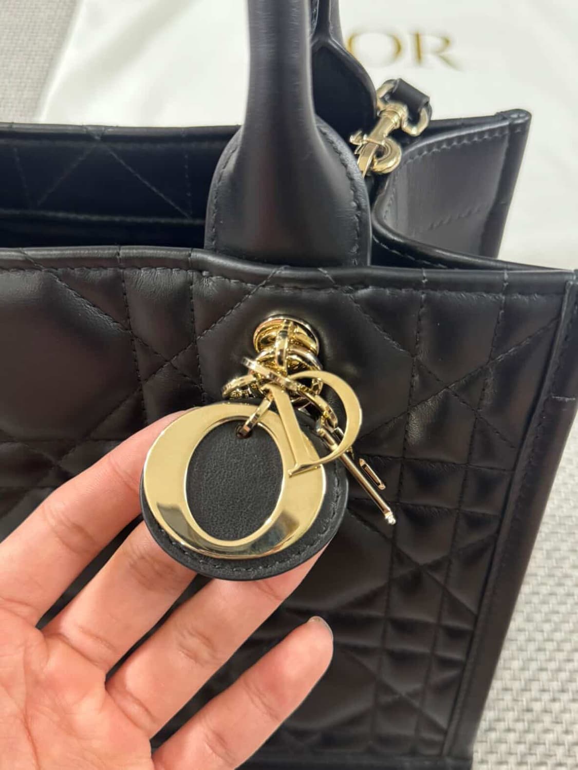 디올 북토트 스몰 까나쥬  상품이미지2