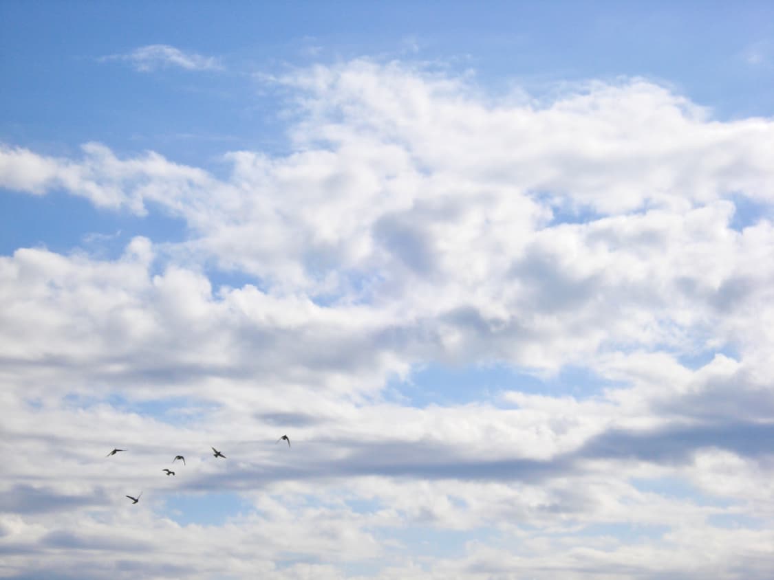 레트로 감성 🍒Cyber-shot DSC-W35 소니 빈티지 디카  상품이미지9