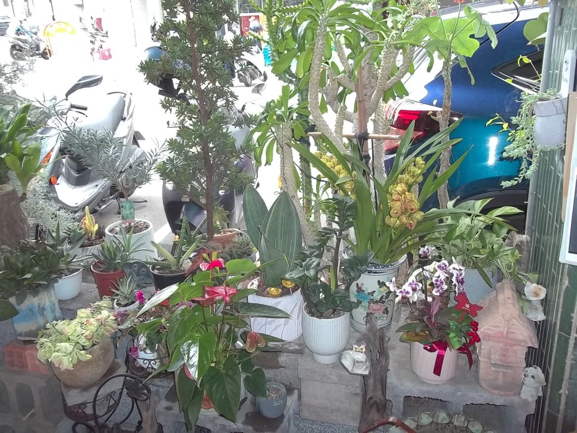 코닥 이지쉐어 c143 Kodak EasyShare C143(작례 O) 상품이미지7