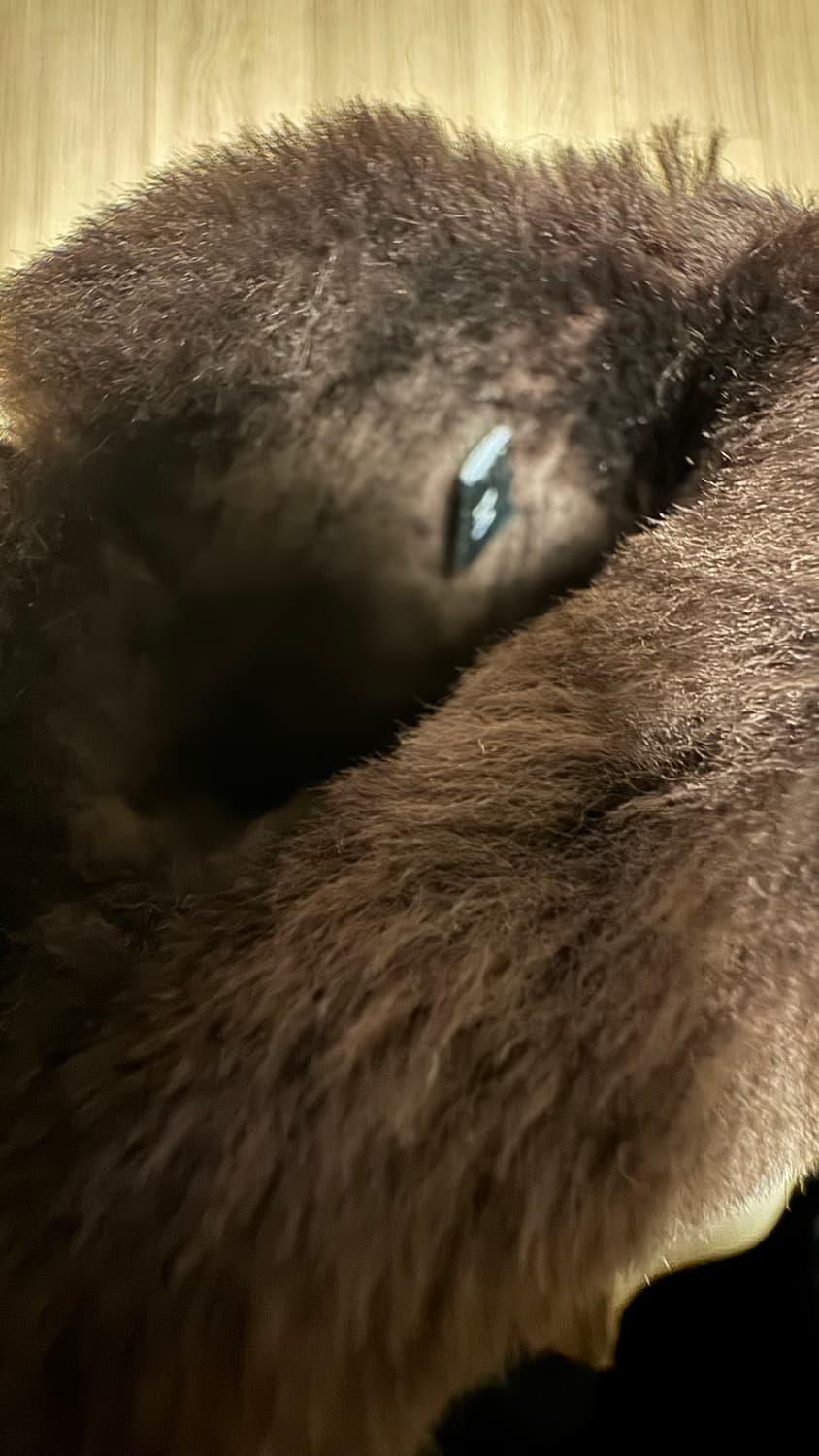 UGG 어그 장갑 퍼 장갑 양털 장갑 양가죽 장갑 상품이미지4