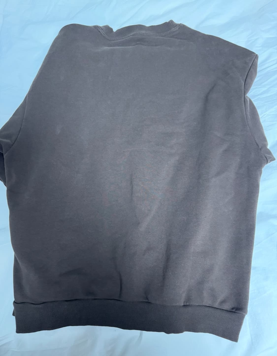 알로 아콜레이드 스웨트 셔츠 판매합니다. 상품이미지2