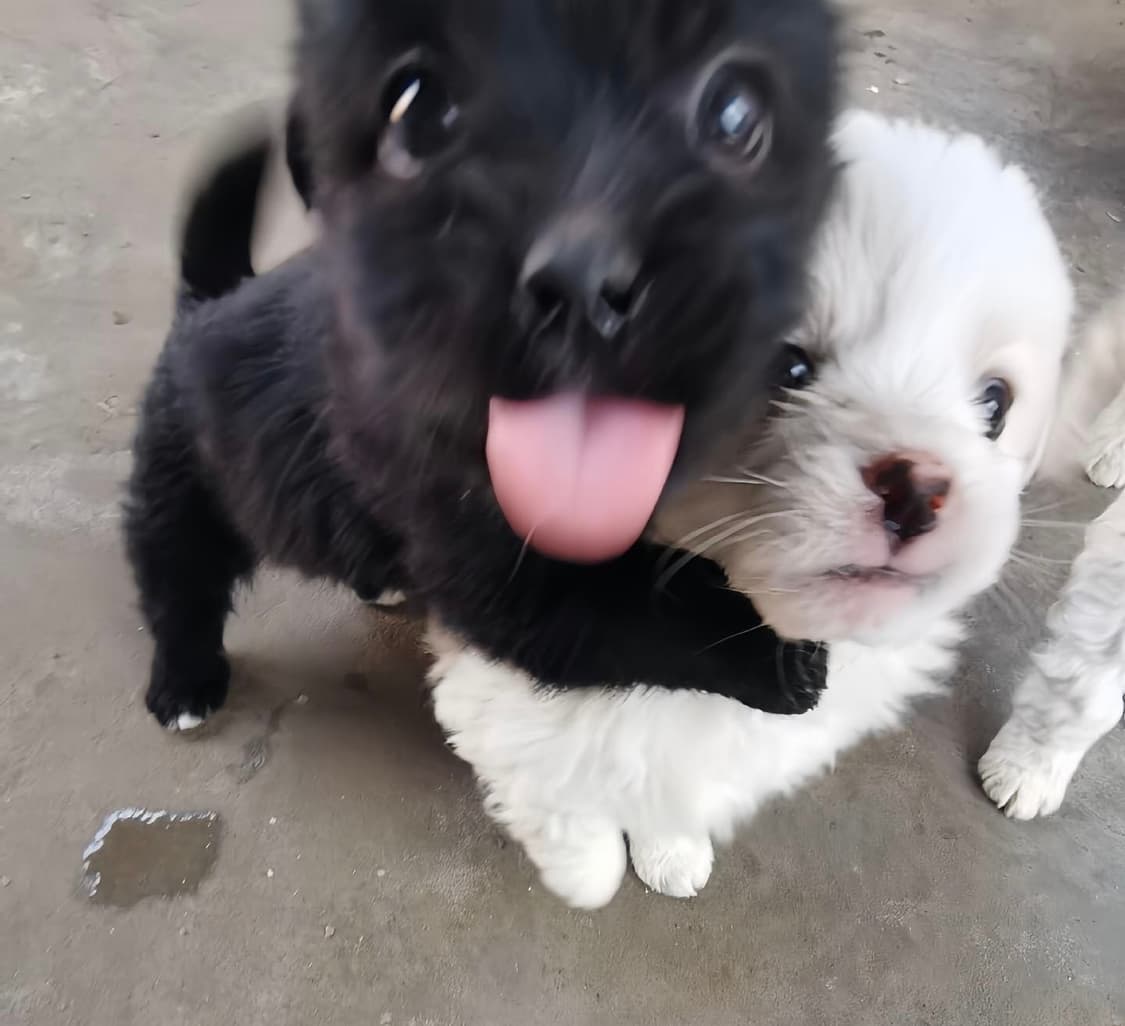 지은님 확인용!! 상품이미지1