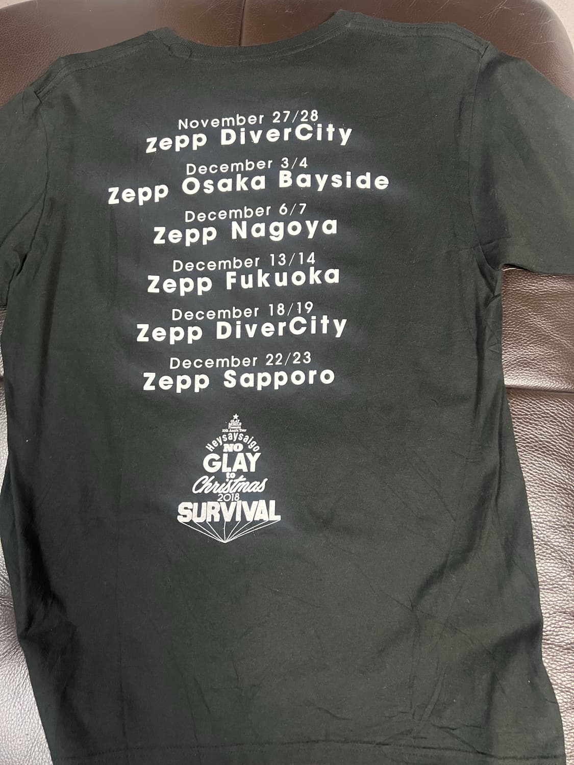 일본밴드 GLAY 투어반팔 상품이미지3