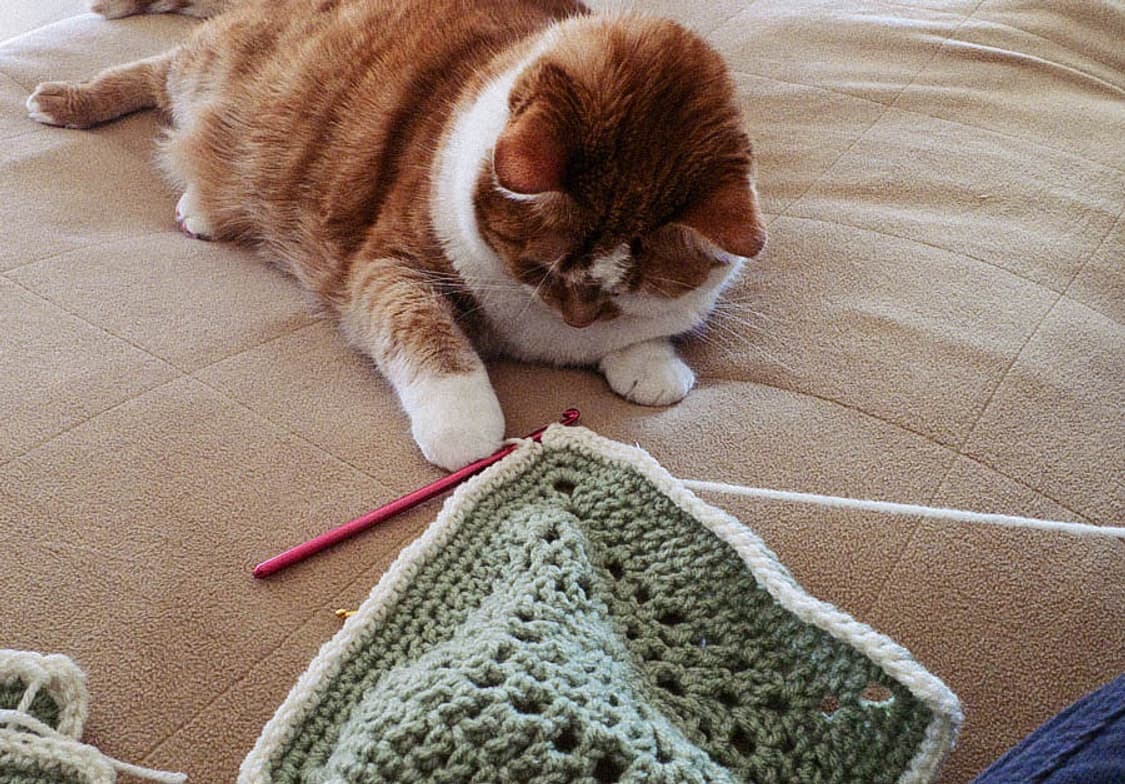 Pentax Optio E40 (펜탁스 옵티오 E40)  상품이미지9