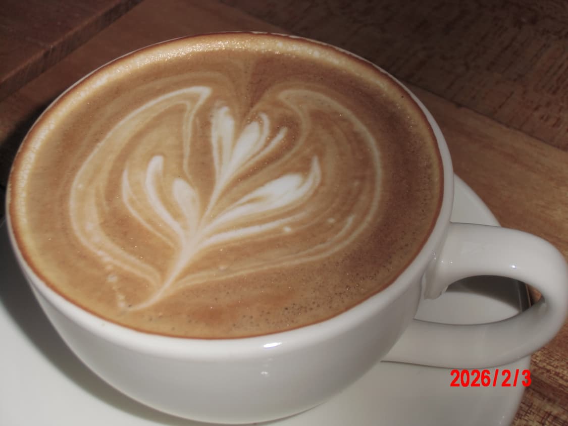 Casio Exlim ZS150 라임그린 상품이미지7